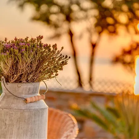 Maria Fabrika Syros Villa